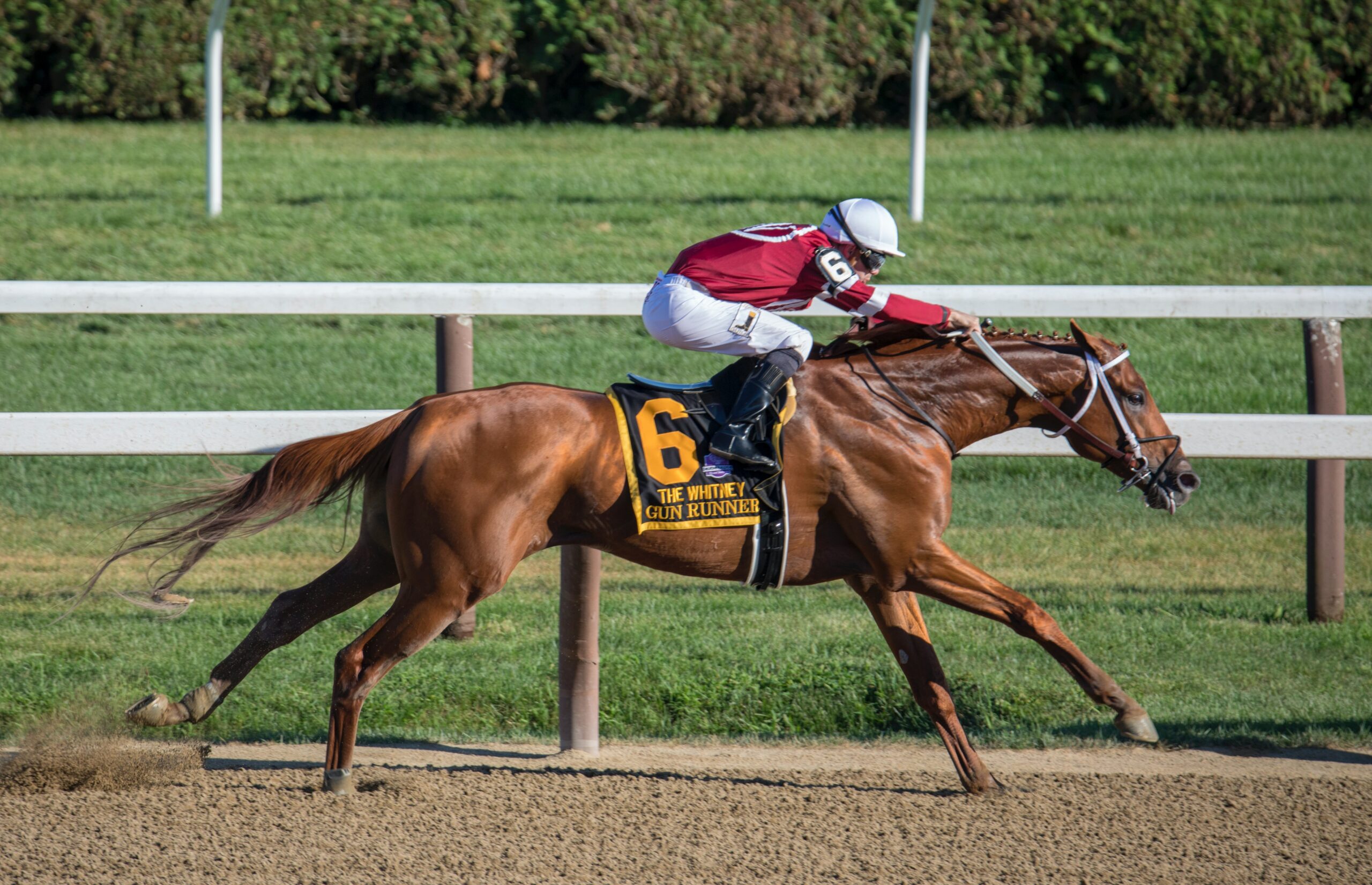 面白い 競走馬の名前10選 サラリーマンmasatoのブログ